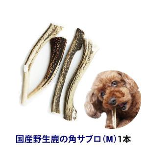 ワンちゃん用の硬いおもちゃ 国産野生鹿の角サブロ(M)1本