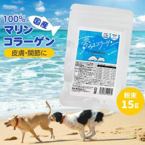 今人 サプリメント 夢みるコラーゲン 犬用 100g 追跡可能メール便のみ
