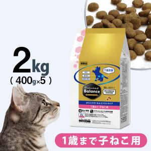 プロフェッショナル・バランス プロフェッショナルバランス pH