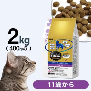 森乳サンワールド 森乳 チューブダイエット 猫用 キドナ 腎疾患用 20g