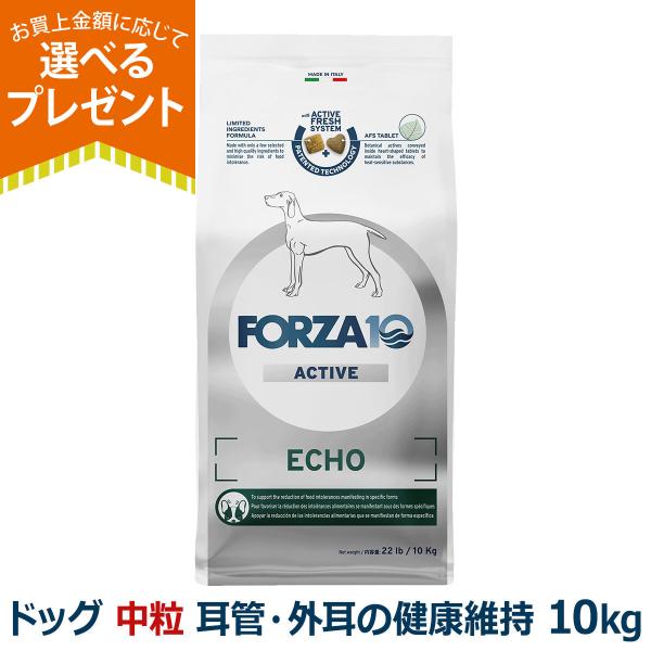 (選べるプレゼント付き)フォルツァ10 FORZA10 エコーアクティブ ミディアム 中粒 10kg...