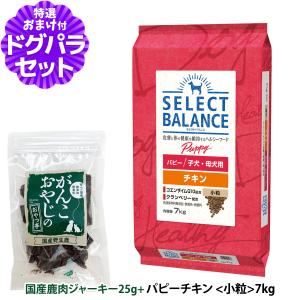 【順次、原材料等の表記変更】セレクトバランス パピー チキン 小粒7kg＋国産鹿肉ジャーキー25g