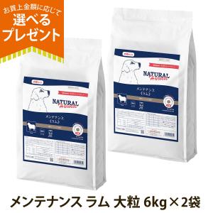 カナガン ドッグフード チキン (2kg) 4袋セット : お宝ベスト商店
