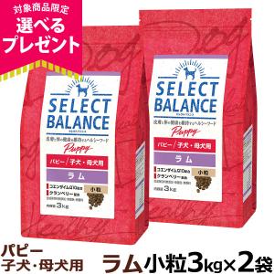 SELECT BALANCE （国産おやつ＆おまけ付き）セレクトバランス パピー