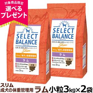 SELECT BALANCE (選べるプレゼント付き)セレクトバランス スリム
