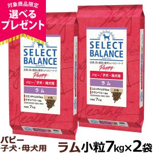 SELECT BALANCE セレクトバランス パピー 子犬・母犬用 ラム 小粒 7kg