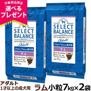 SELECT BALANCE セレクトバランス アダルト ラム 小粒 1才以上の成犬用