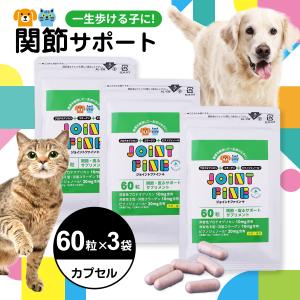 マイトマックス スーパー中型・大型犬用 ( 540カプセル ) : 爽快