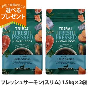 NEW 最短賞味2027.2.25・トライバル フレッシュサーモン