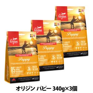 ベッツ・チョイス・ジャパン セレクトバランス チキン パピー 小粒