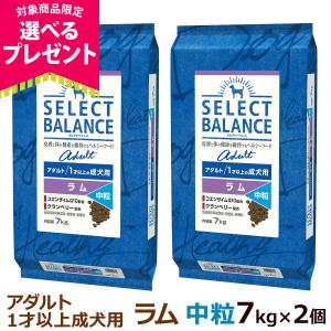 (選べるプレゼント付き)セレクトバランス アダルト ラム 中粒 7kg×2個 成犬 羊肉 犬 ドッグフード