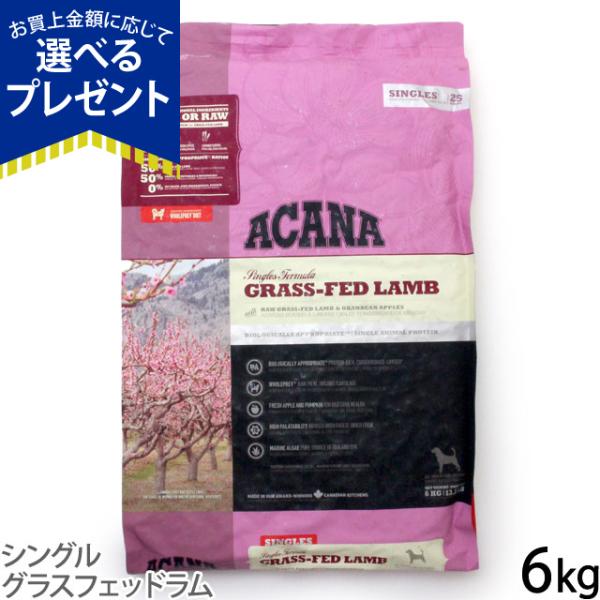 (選べるプレゼント付き) アカナ ACANA ドッグフード シングル グラスフェッドラム 6kg