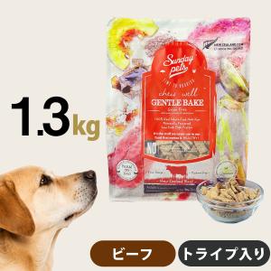 Sunday Pets（サンデーペッツ） ドッグフード ジェントルベイク キング