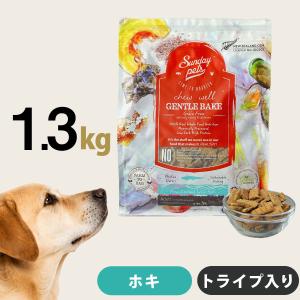 カナガン ドッグフード チキン 2kg グレインフリー 全犬種 全年齢対応