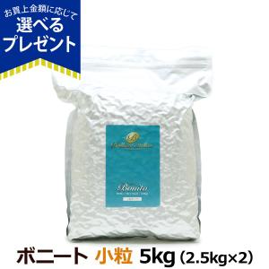 【当店在庫限りで販売終了 賞味期限2023年12月29日以降】ビッグウッド ブリリアントメロウ ドライフード ボニート（かつお） 小粒 5kg （2.5kg ×2）