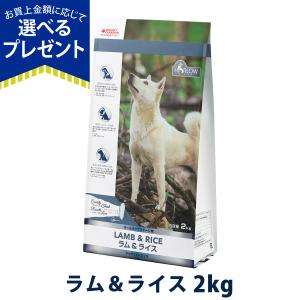 ダイエティクス 猫 キドニーキープ リッチテイスト 200g(25g×8分包