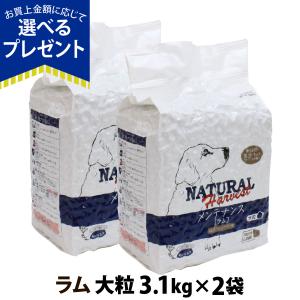 (選べるプレゼント付き)ナチュラルハーベスト ベーシックフォーミュラ メンテナンスラム 3.1kg ×2袋 大粒 成犬 アダルト 老犬 シニア犬 ドライ 羊肉 低脂肪