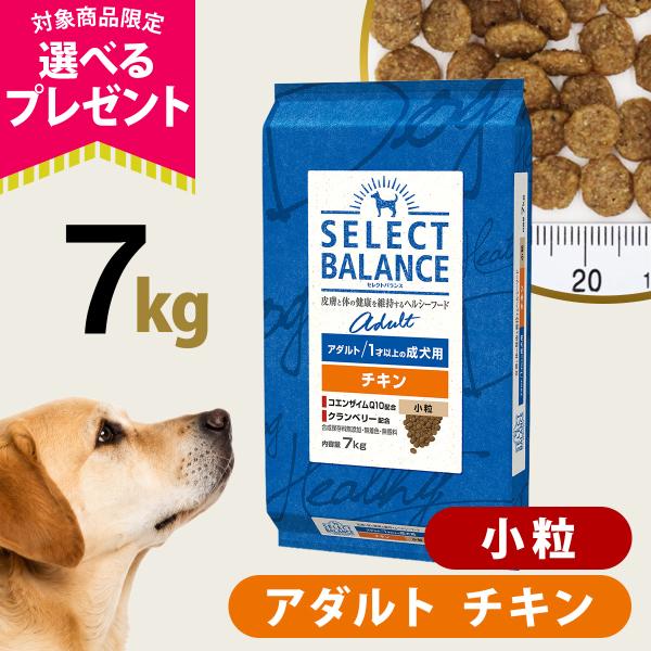 (選べるプレゼント付き)セレクトバランス アダルト チキン 小粒 7kg 成犬 1才以上成犬 犬 ド...