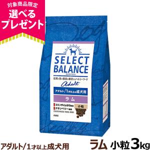 【順次、原材料等の表記変更】セレクトバランス アダルト ラム 小粒 3kg 成犬 羊肉 １才以上成犬 犬 ドッグフードドライ 低脂肪｜ドッグパラダイスぷらすニャン