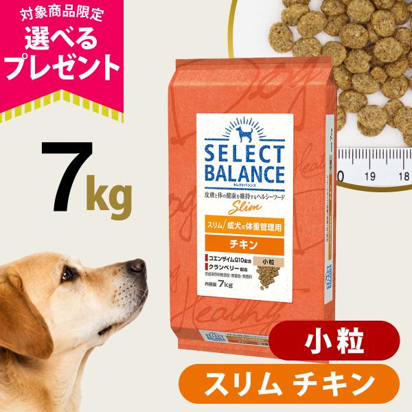 (選べるプレゼント付き)セレクトバランス スリム チキン 小粒 7kg 成犬 1才以上成犬 減量 ダ...
