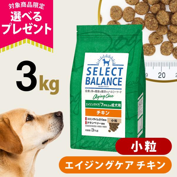 (選べるプレゼント付き)セレクトバランス エイジングケア チキン 小粒 3kg 7才以上の成犬 シニ...