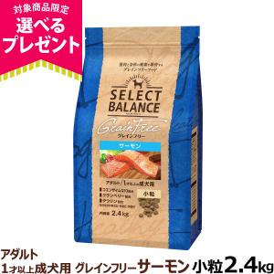 (選べるプレゼント付き) セレクトバランス グレインフリー アダルト サーモン 小粒 2.4kg 犬 無添加 穀物不使用 オメガ6 グルコサミン