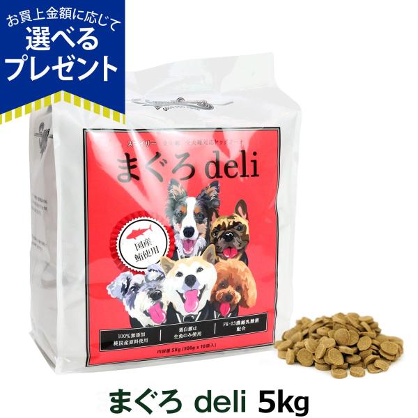 (選べるプレゼント付き)スマイリー Smiley 国産まぐろdeli 5kg（500g×10袋）【一...