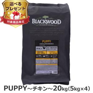 BLACKWOOD（ブラックウッド） (選べるプレゼント付き)ブラックウッド