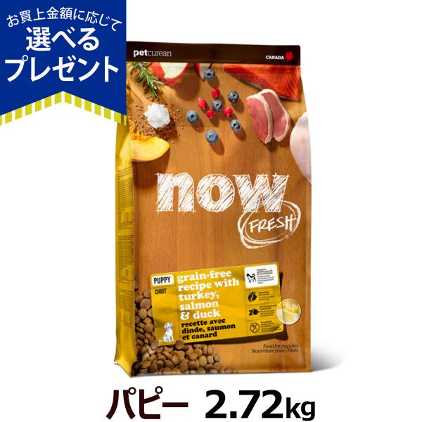 【順次リニューアル変更】ナウ フレッシュ  パピー2.72kg 犬 ドッグフード ドック グレインフ...