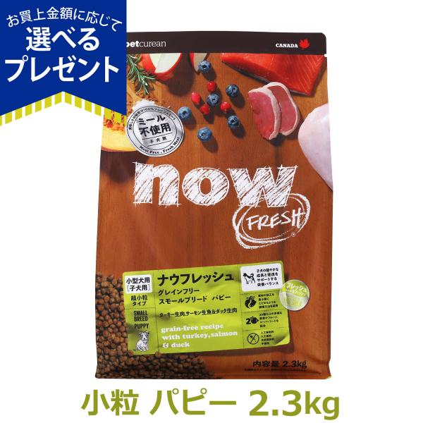 (選べるプレゼント付き)ナウフレッシュ グレインフリー スモールブリードパピー 2.3kg ドッグフ...