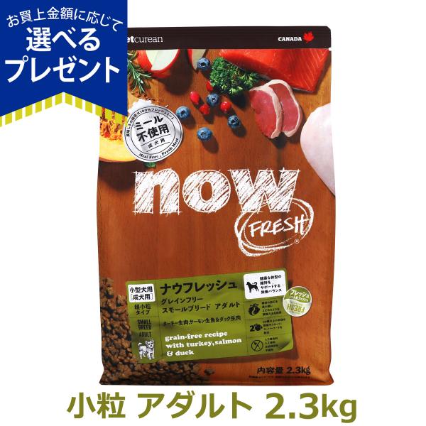 (選べるプレゼント付き)ナウフレッシュ グレインフリー スモールブリードアダルト 2.3kg ドッグ...
