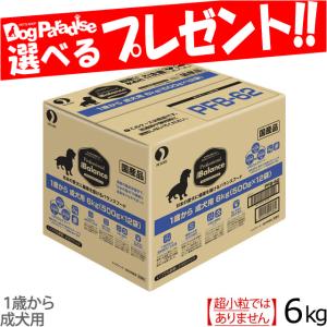 プロフェッショナル バランス 1歳から 成犬6kg