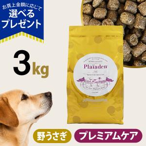 パンフェノン (選べるプレゼント付き)パンフェノン120粒 サプリ 犬 猫