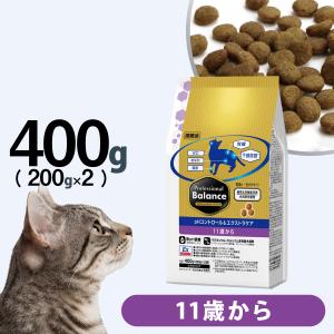 ▪️専用　プロフェッショナルバランス　11キロ プロフェッショナル・バランス ［順次リニューアル変更］ペットライン