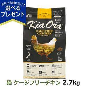 プロフェッショナルバランス　1歳まで子犬 6kg 2個セット ペットライン プロフェッショナル・バランス 1歳まで子いぬ用 6kg