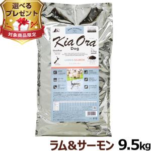 森乳サンワールド 【限定クーポン】 スーパーゴールド おなかラボ 成犬