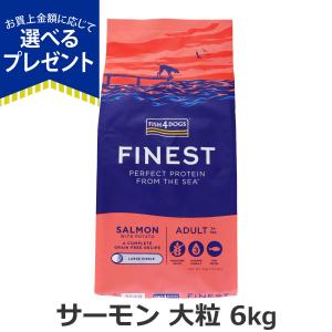 (選べるプレゼント付き)フィッシュ4ドッグ ファイネスト サーモン 大粒 6kg 犬 いぬ フード ドック 穀物不使用 グレインフリー