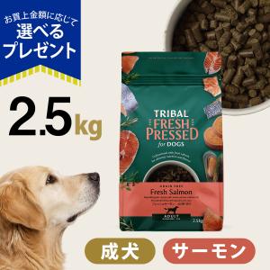 選べるプレゼント付き)トライバル フレッシュターキー（スリム）5kg