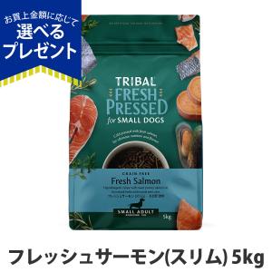 選べるプレゼント付き)トライバル フレッシュターキー（スリム）5kg