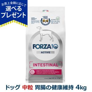 BLISMIX (選べるプレゼント付き) ブリスミックス グレインフリー