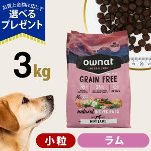 パンフェノン (選べるプレゼント付き)パンフェノン120粒 サプリ 犬 猫