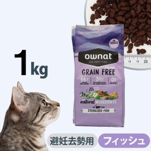 SELECT BALANCE セレクトバランス グレインフリー キャット キトン
