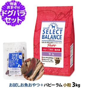 ベッツ・チョイス・ジャパン セレクトバランス ラム パピー 小粒 子犬