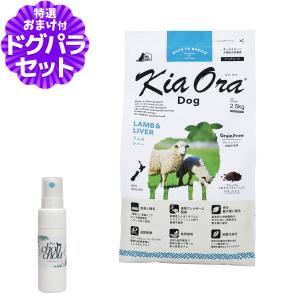 パンフェノン (選べるプレゼント付き)パンフェノン120粒 サプリ 犬 猫
