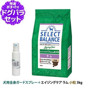 SELECT BALANCE (選べるプレゼント付き)セレクトバランス