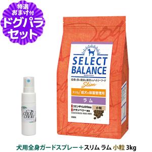 SELECT BALANCE (選べるプレゼント付き)セレクトバランス スリム