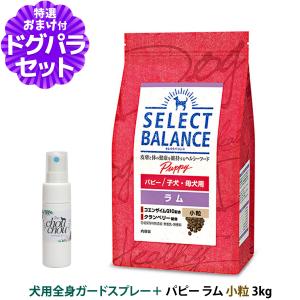 SELECT BALANCE (選べるプレゼント付き)セレクトバランス アダルト