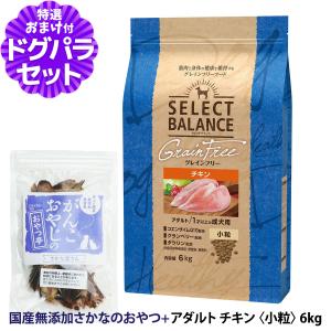 【順次パッケージ包材変更】セレクトバランス グレインフリー アダルト チキン 小粒 6kg ＋お試し国産お魚おやつ 約20g 犬 無添加 穀物不使用 オメガ6｜dogparadise