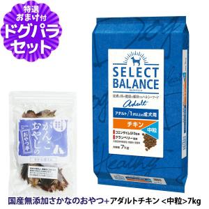 セレクトバランス アダルトチキン 中粒　 7kg　2個 SELECT BALANCE （国産おやつ＆おまけ付き）セレクトバランス アダルト