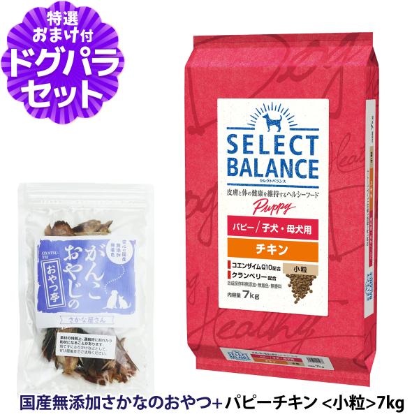 【順次、原材料等の表記変更】セレクトバランス パピー チキン 小粒7kg ＋お試し国産お魚おやつ 約...